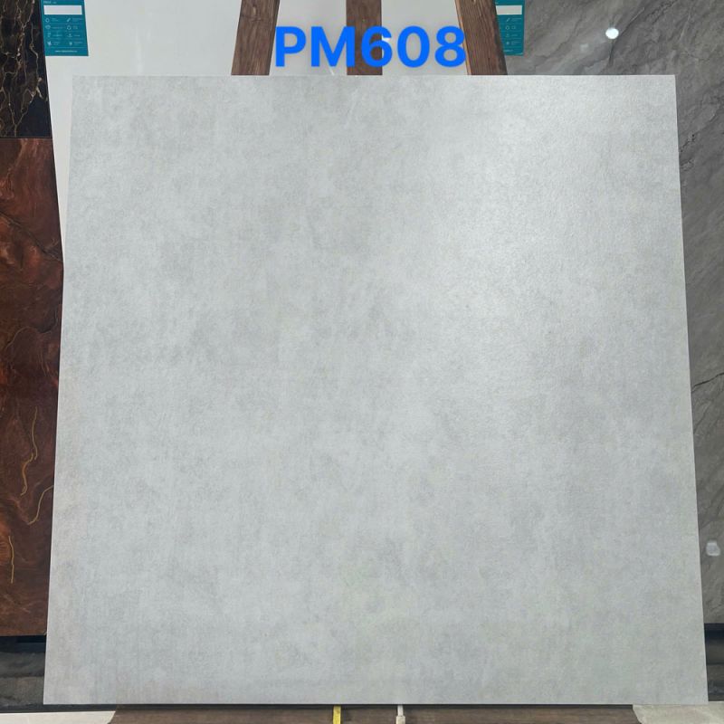 Gạch lát sân Viglacera kích thước 60x60 PM608