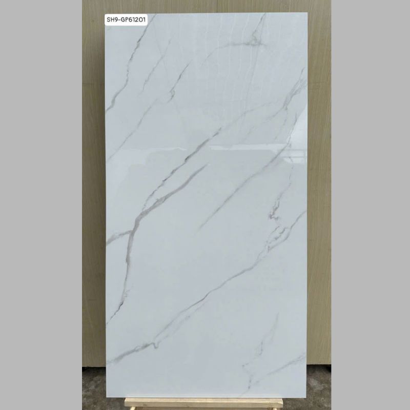 Gạch lát nền Viglacera 60x120 SH9-GP61201