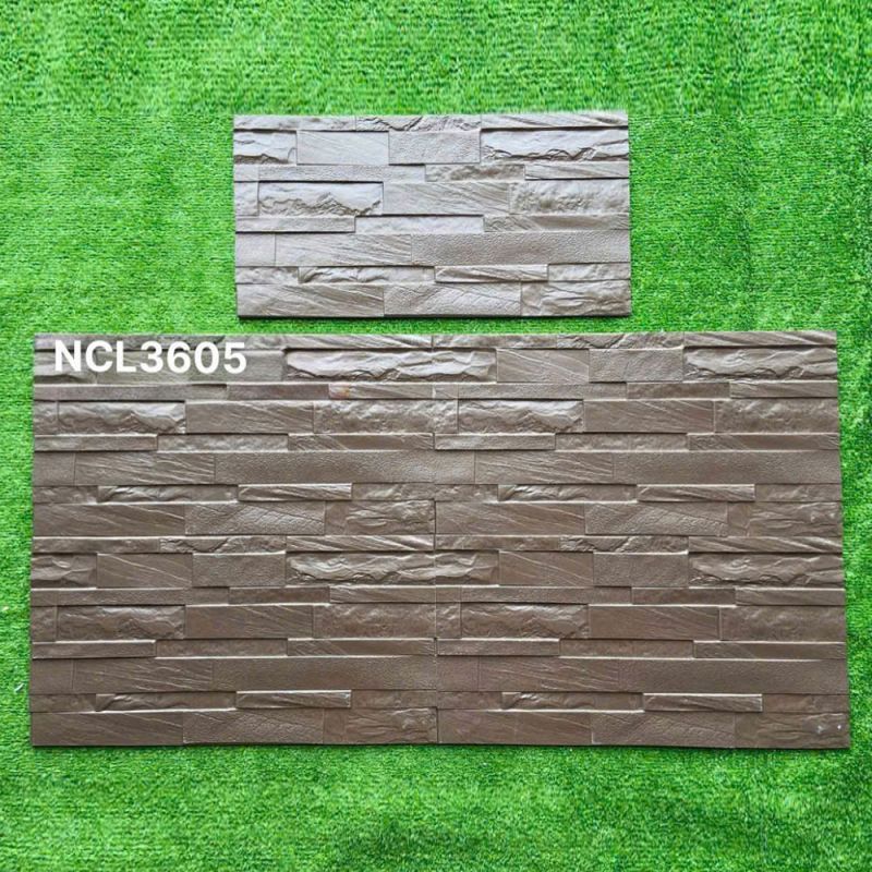 Gạch ốp tường Ấn độ kích thước 30x60 NCL3605