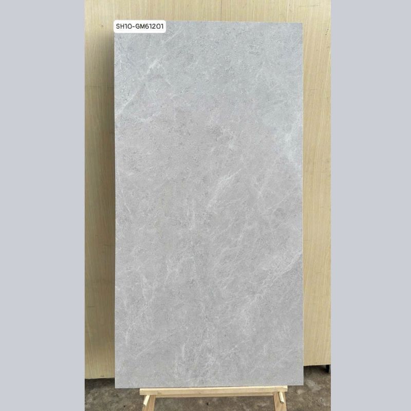 Gạch lát nền Viglacera 60x120 SH10-GM61201