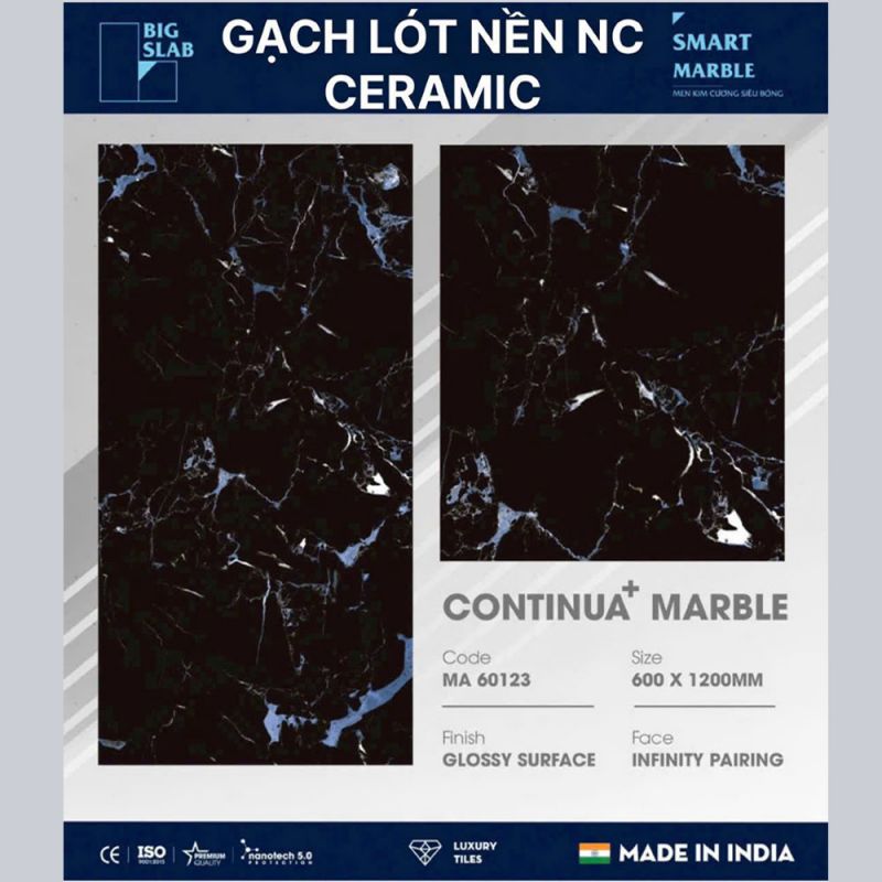 Gạch lát nền Ấn độ 60x120 MA60123