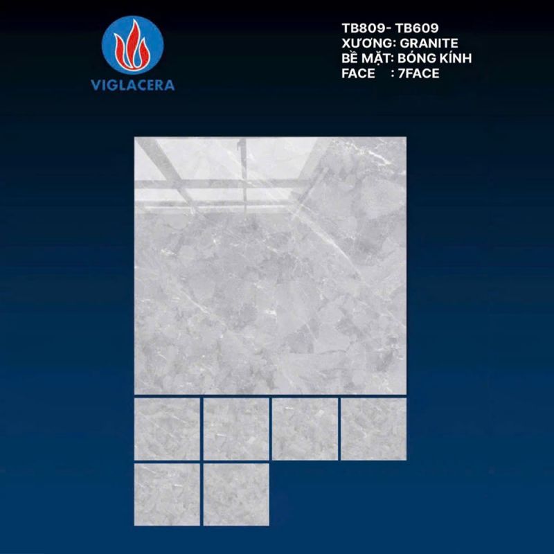 Gạch lát nền Vigalcera 80x80 TB808 - TB609