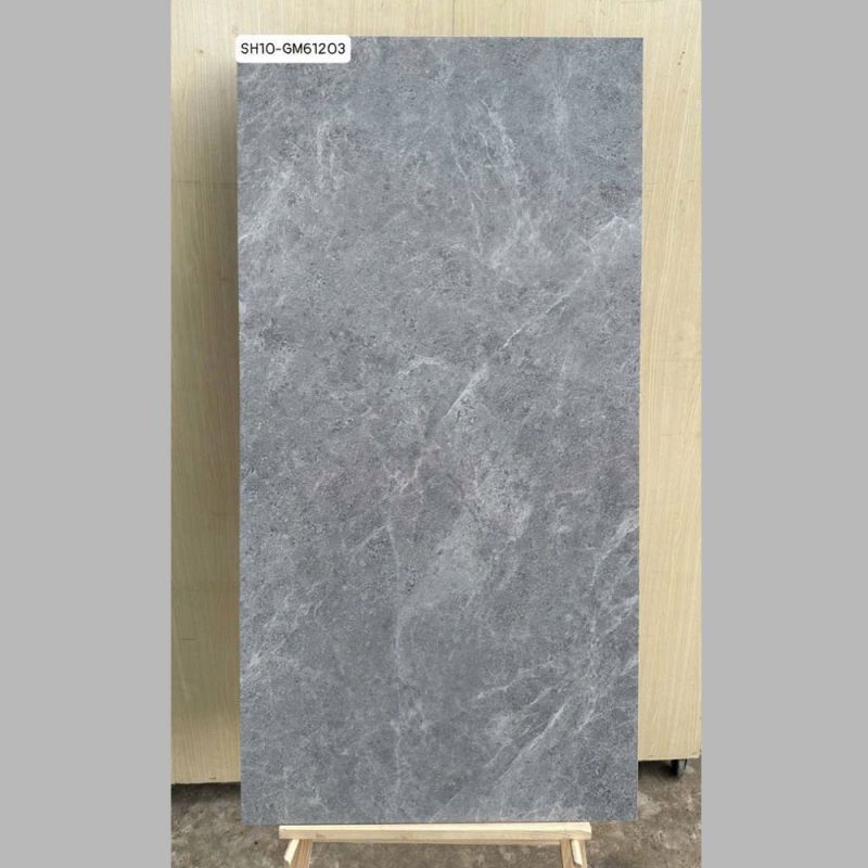 Gạch lát nền Viglacera 60x120 SH11-GM61203