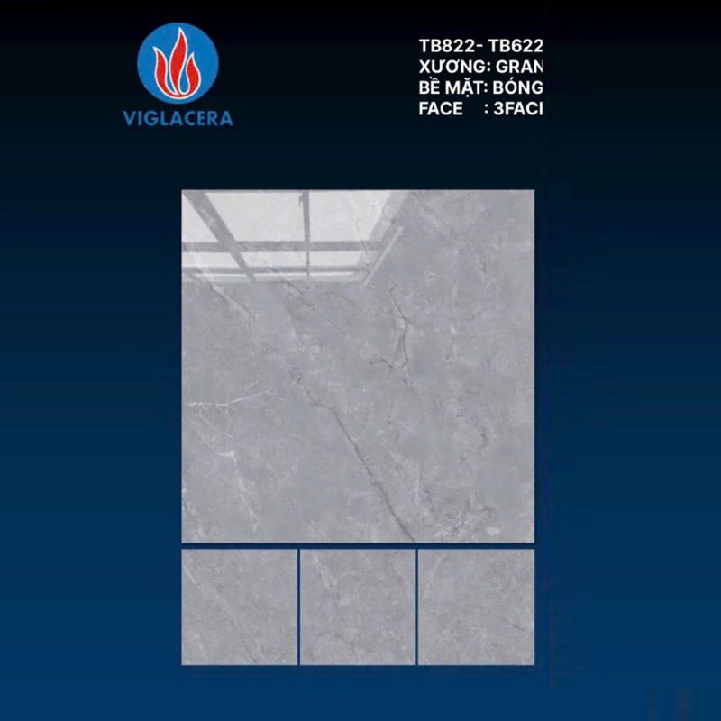 Gạch lát nền Vigalcera 80x80 TB822 - TB622