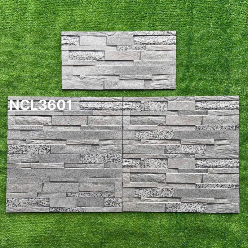Gạch ốp tường Ấn độ kích thước 30x60 NCL3601