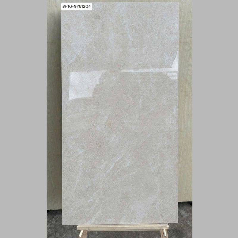 Gạch lát nền Viglacera 60x120 SH10-GP61204