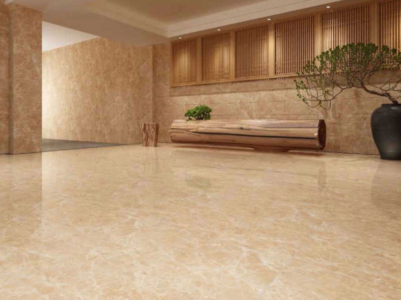 Lựa Chọn Gạch Ốp Lát 2026: Xu Hướng Và Lưu Ý Không Thể Bỏ Qua