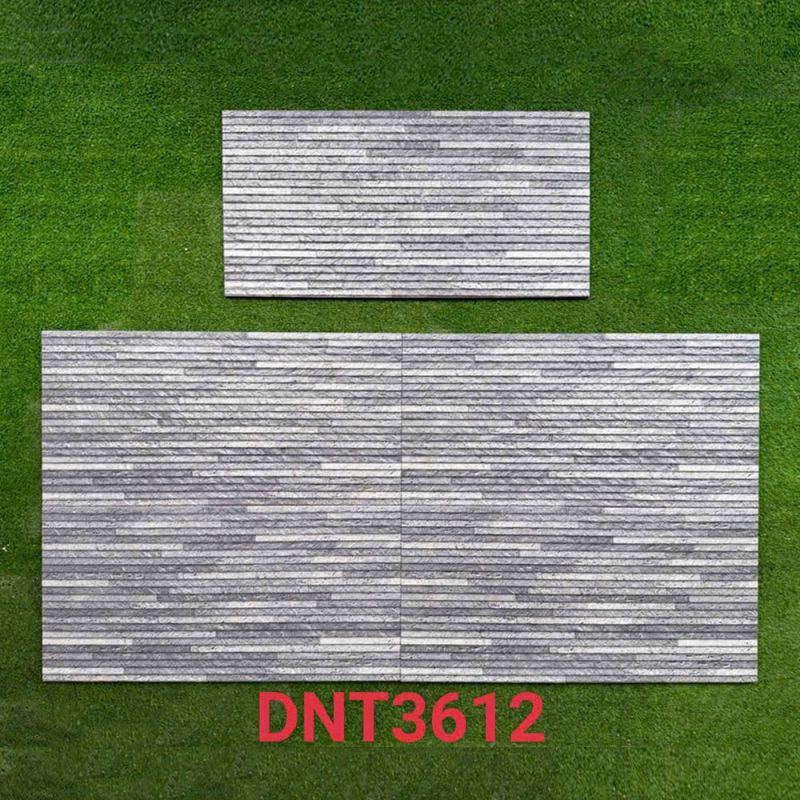 Gạch ốp tường kích thước 30x60 DNT3612