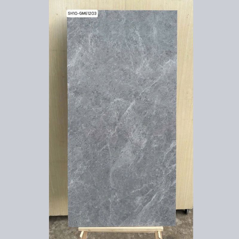 Gạch lát nền Viglacera 60x120 SH10-GM61203