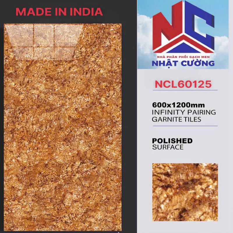 Gạch lát nền Ấn độ 60x120 NCL60125